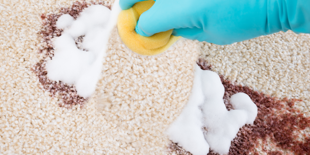 What Is The Best Homemade Carpet Cleaning Solution?