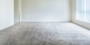 Decoding the Carpet Cleaning Costs