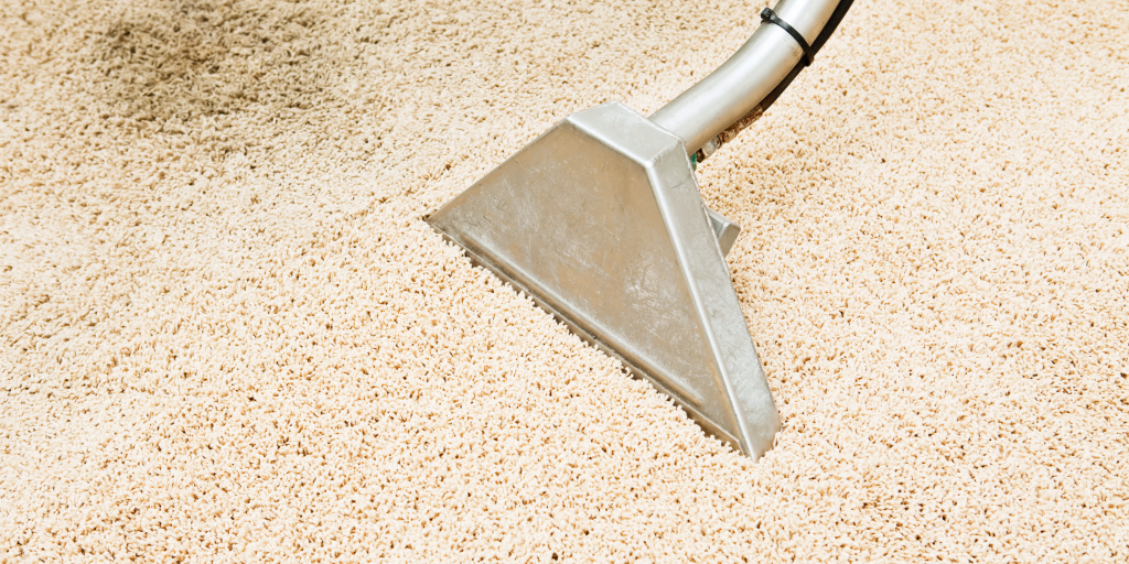 Decoding the Carpet Cleaning Costs