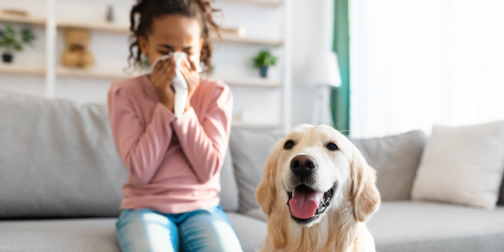 How Often Do I Need Carpet Cleaning? Allergies and health concerns