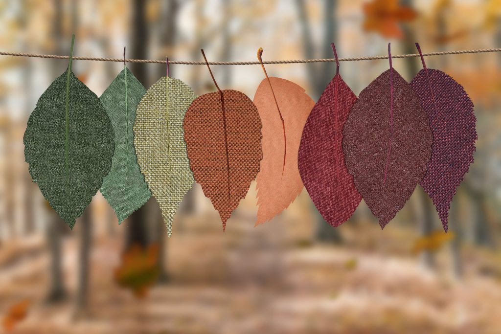 Seasonal Consideration
