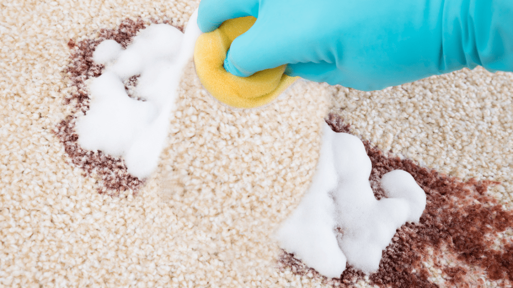 How many years of experience do carpet cleaners need?